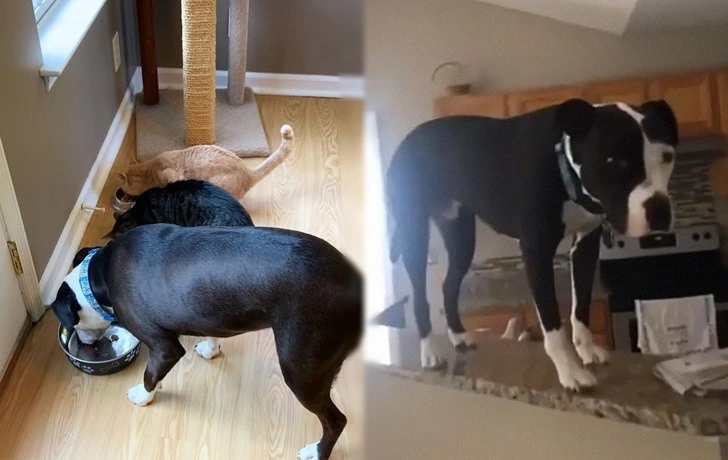 993964455F33278B10E0EB