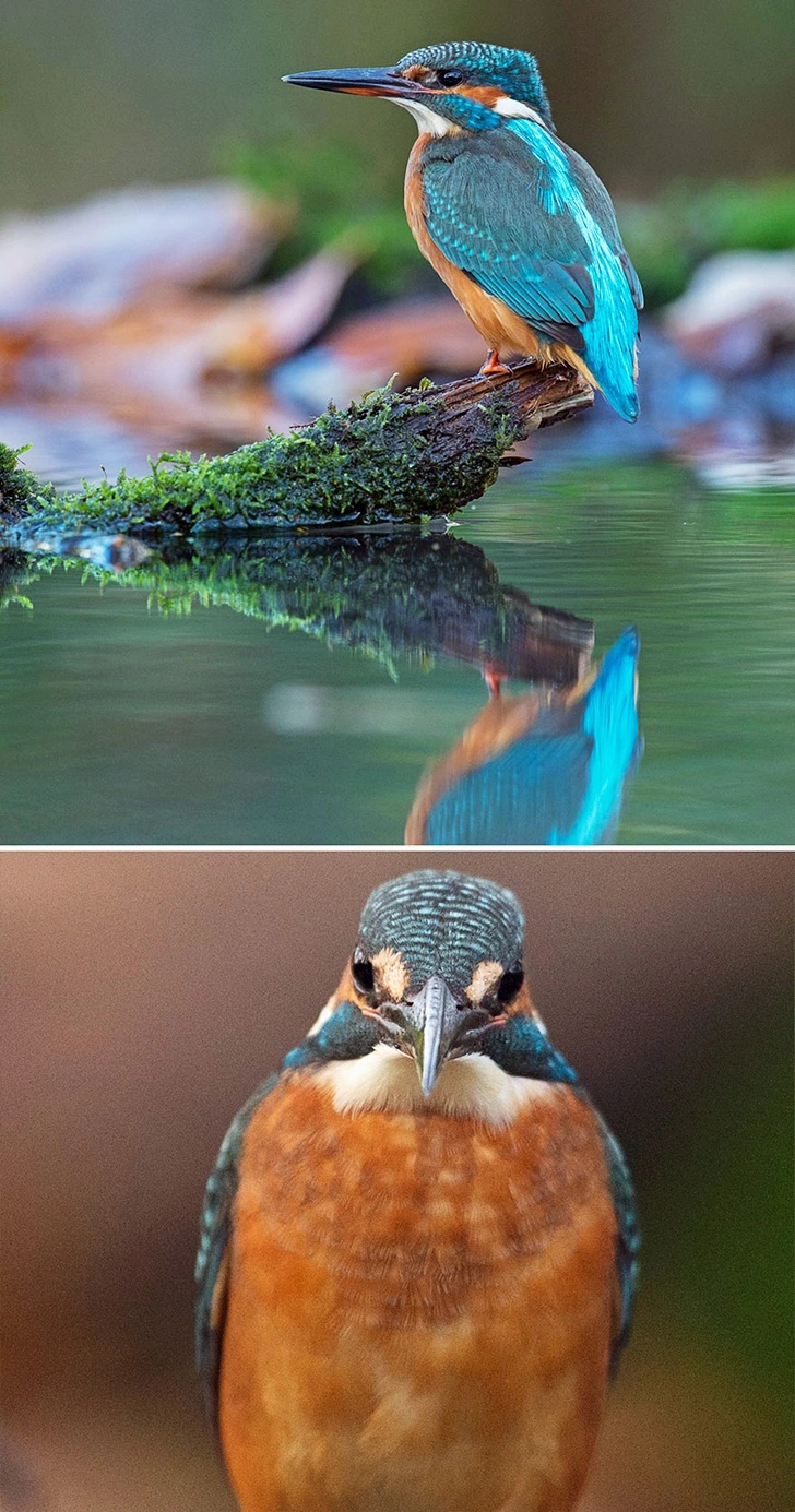 99DF90445FF655F7061326