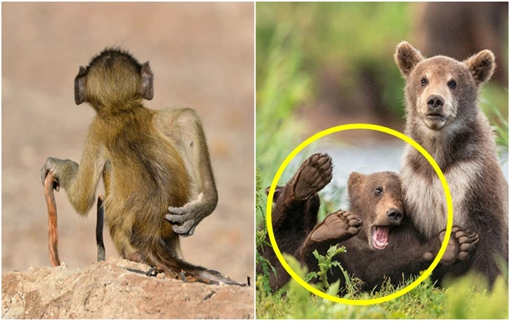 9904A74D5F5C03140EADCE