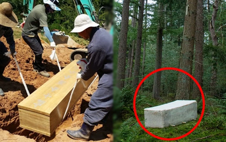 99AC06335F671C271CC513