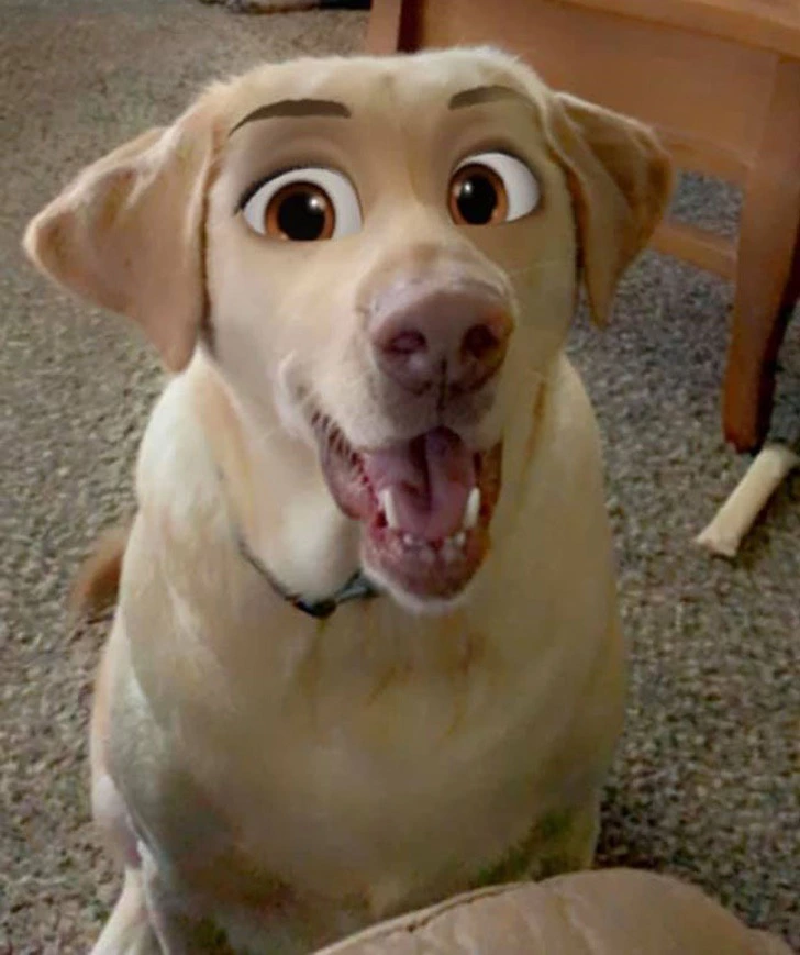 99B355405F2FFE830A9265