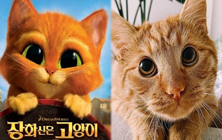 999C18395FBD12640A538F