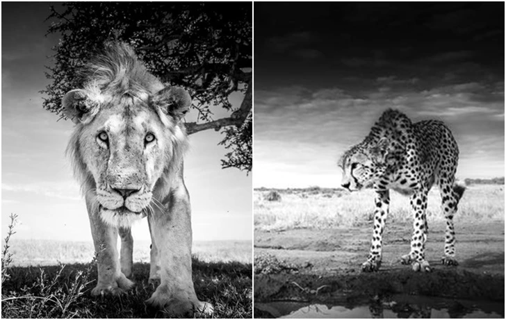 9905D4505F7A97152D4BD8