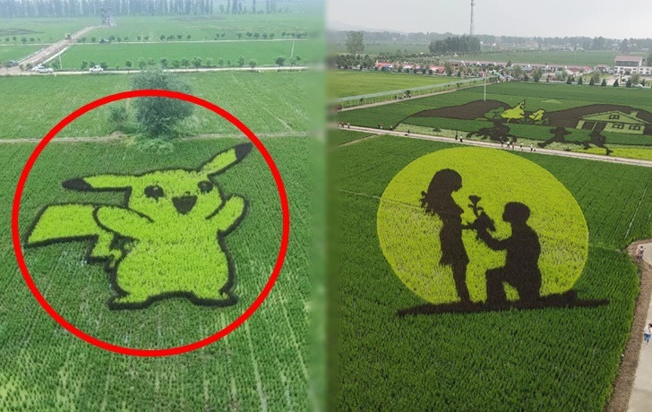 9980173A5F249792086589