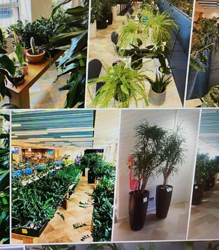 99F474455F50BA03301409