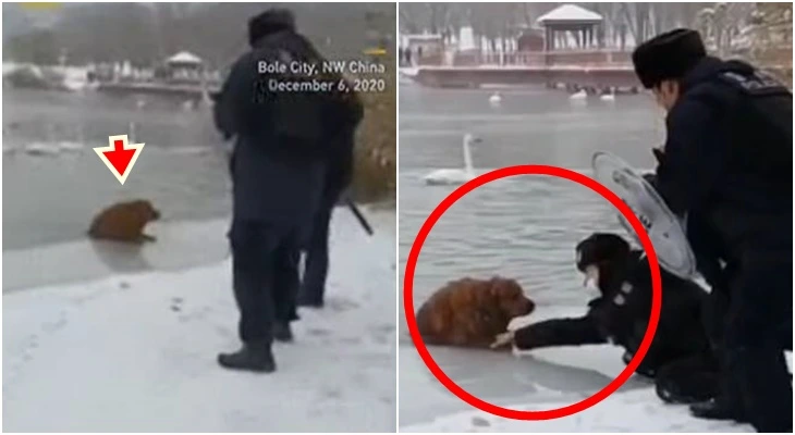 99E06A485FE91504050A1A