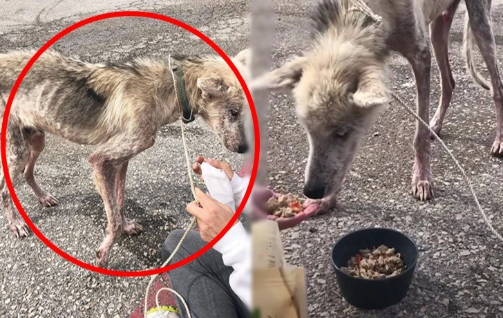 991A1E3C5F376563257E50