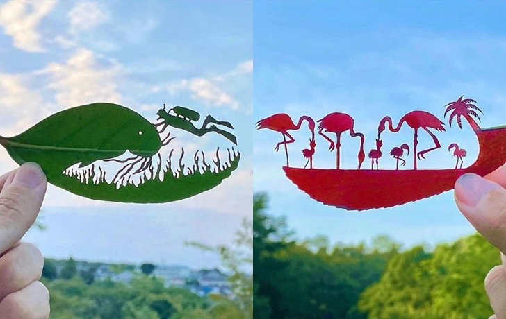 998ECF4D5F61F2D10DFF66