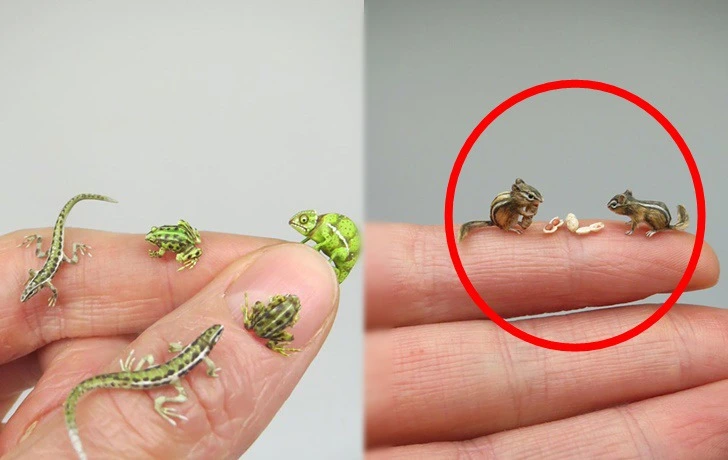 991F913D5F199D15272367