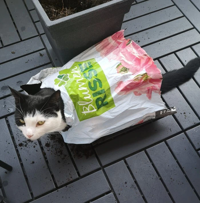 9986D6435F1CCD3E17DC38