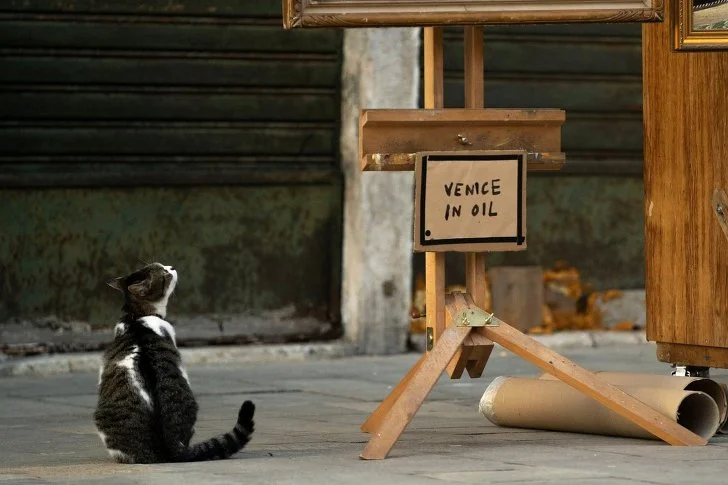 99F925375CE7745B167B71