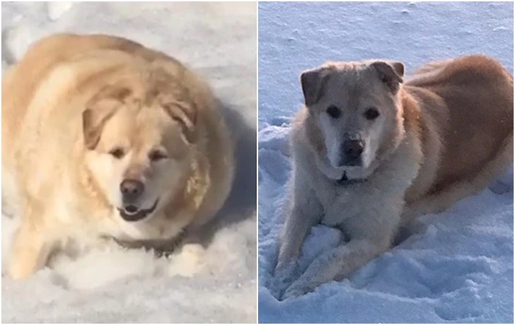 9972C7495F3BAB5E1951A9