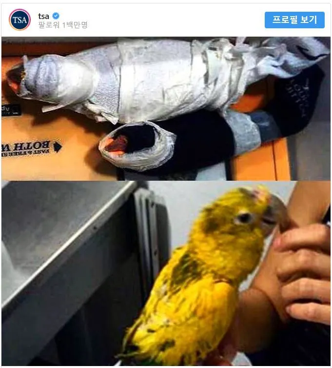 9998923F5DF6F65E20DF75