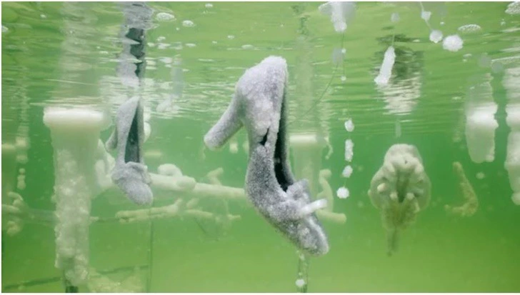 99F6DB485FF173F31FE5FE