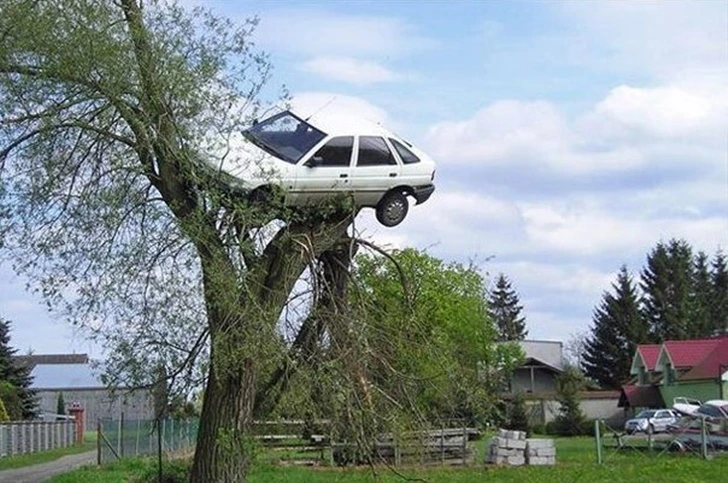 99A60C4D5FB3A79E13027B