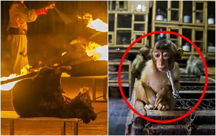 9962AE395F88395422AEB0