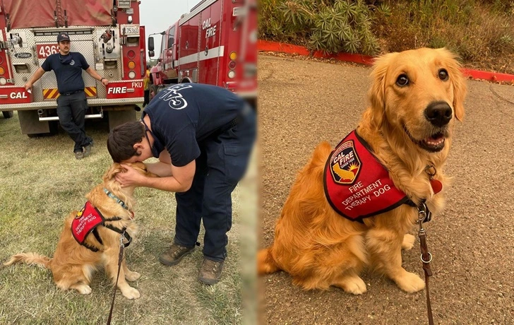 99E5464B5F642F8333197F