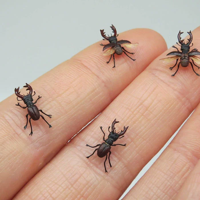 9952D0365F199B2935E5C0