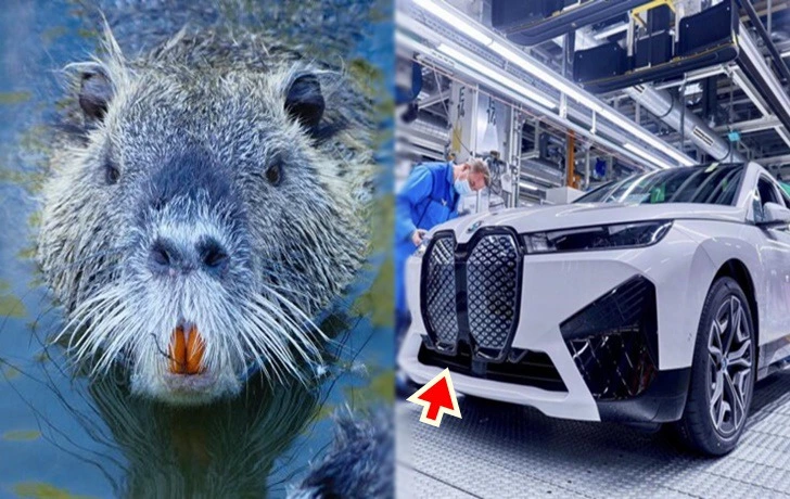 99E8E5475FCAF5070FAFC7