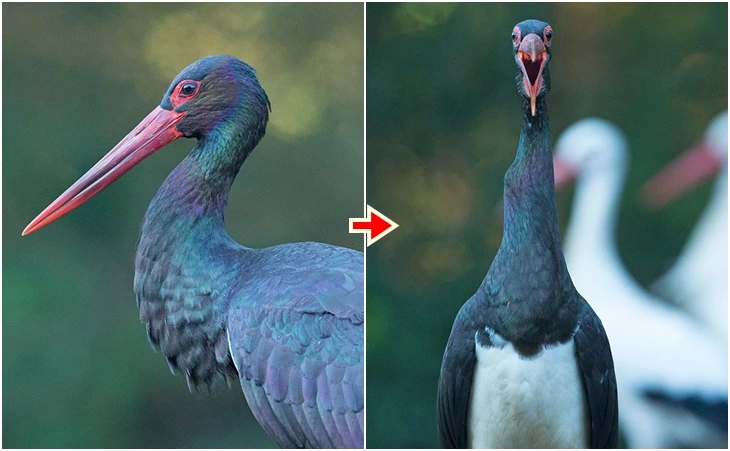 992085475FF6579C089231