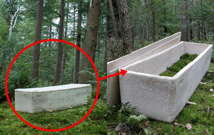 999740385F671B5F229131