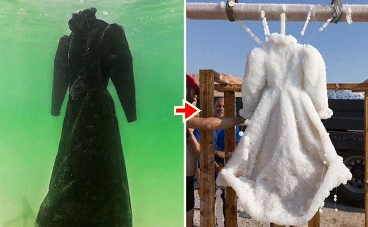 995D934F5FF173141CDE01