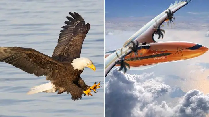 99FB32485D3C6B09323565