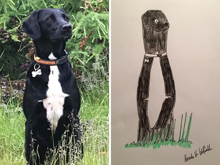 99A630475F9271070941EF