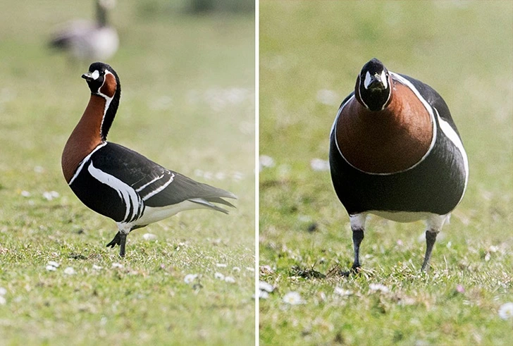 99BB523C5FF655F606011A