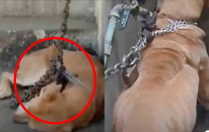 994CC6435FC204812189EA