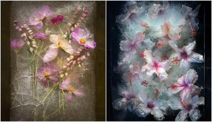 9983F5395D88337F1A3C95