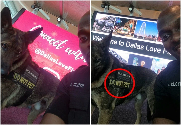 9972B8445E4E175405FA9B