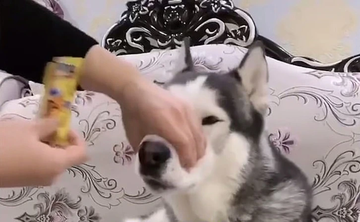 99151D4D5FE5125D093887