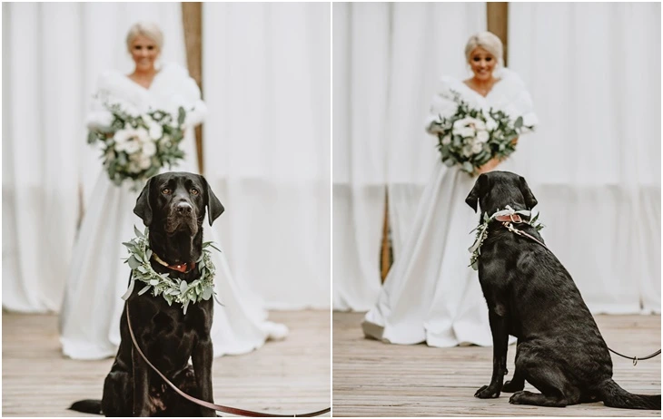 99DF79335FAF32EE0F54D1