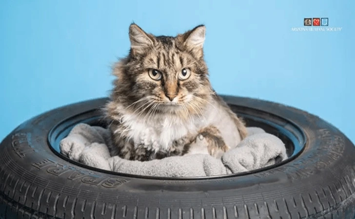 998EFD4E5FFF9FE106E6F6