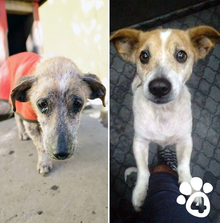 99E6373B5F605E380FD3AC