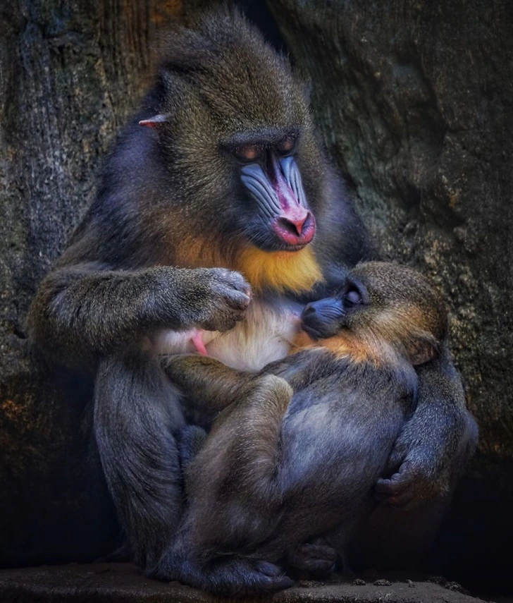 9972573E5F6A72390AF109