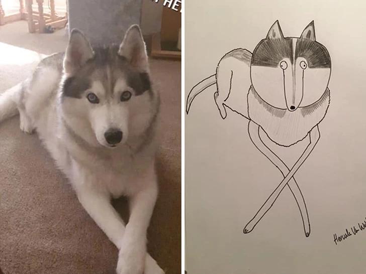 99FC5C335F9271070C7FD8