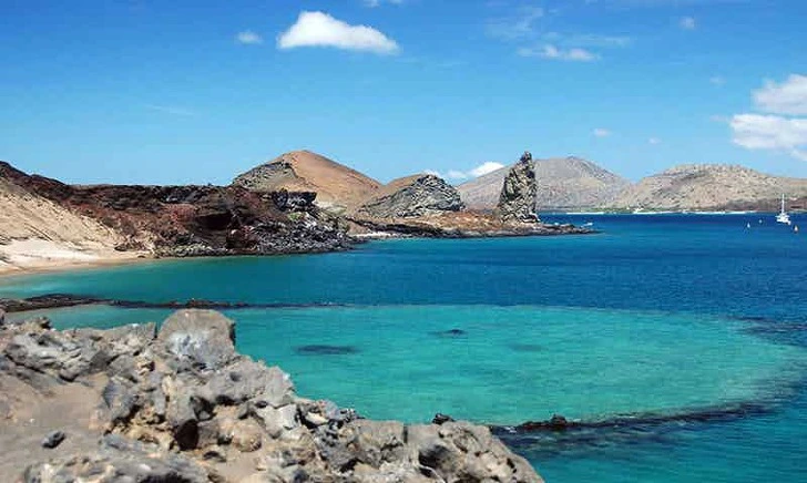 995F19485D89DF68245BE9