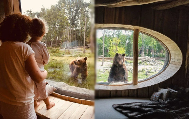 992CC5465F1CC4101470B7