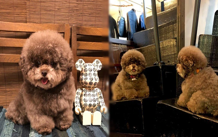 99DFA5415F45CD4B2A6D96