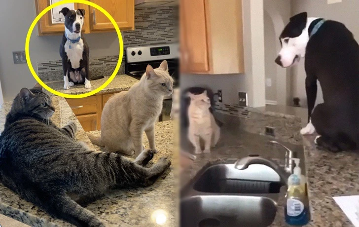 9939D5455F33278B10A874