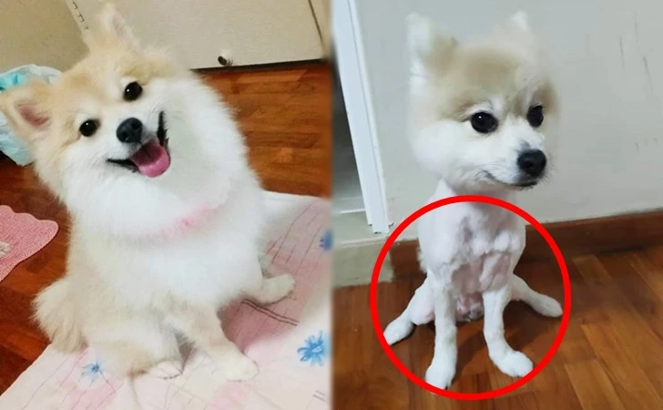 995586385FFD3A16126E05