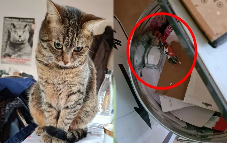 999F7C495FBE57310D5BBC