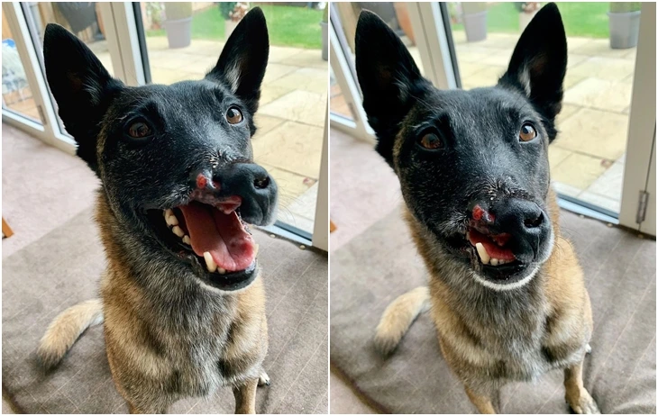 99509F4A6012134A0B619B