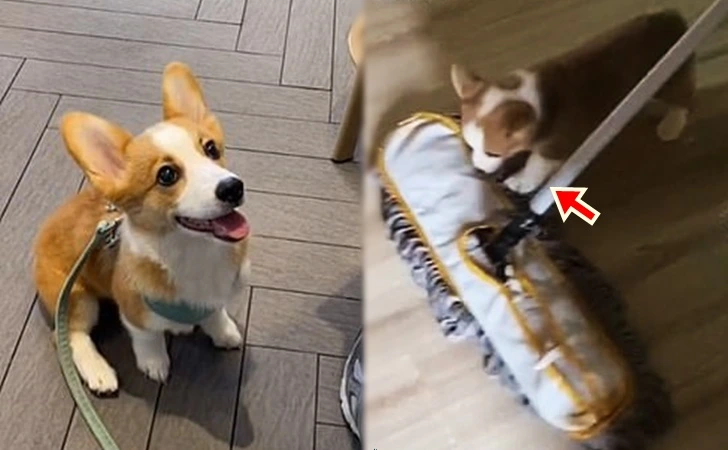 99D2904A5FF79696032CF5