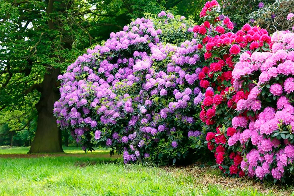 99312E395F51CF0513F026