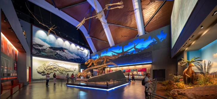 99FDE4345E65B516141876