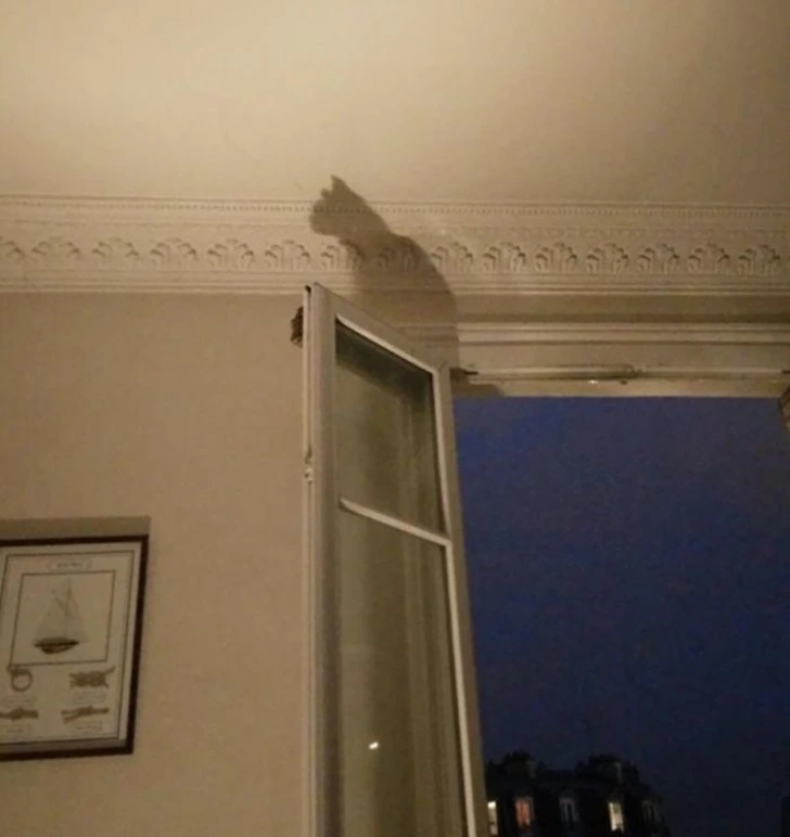 998663335F3FC87E0A950C