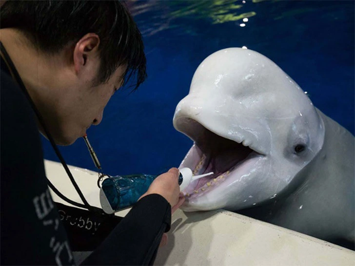 9978B9465F352BDF21D914